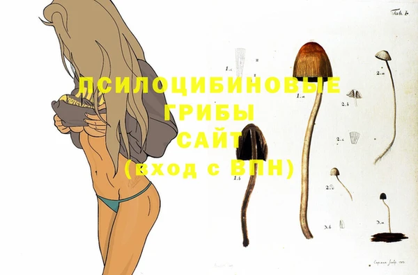 кокаин колумбия Горнозаводск