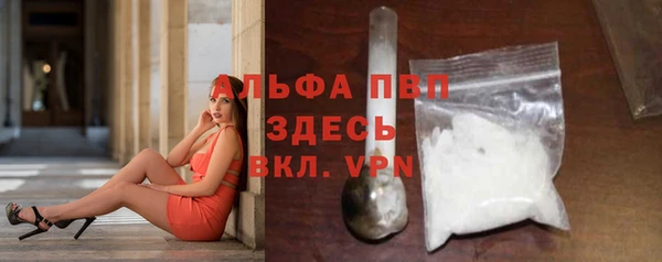 прущие грибы Калач