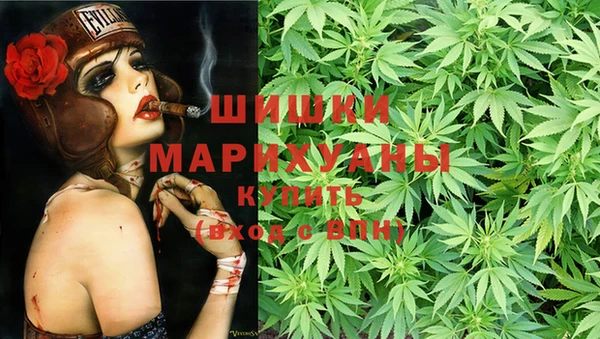 крисы Кадников