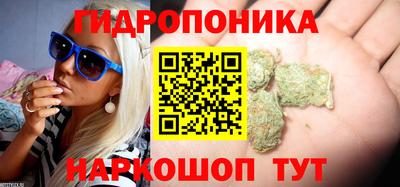 Альфа ПВП Аргун