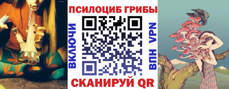 Псилоцибиновые грибы Psilocybine cubensis  Малоярославец 