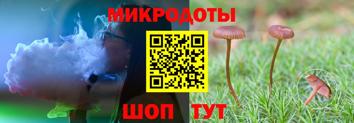 Псилоцибиновые грибы Psilocybe Малоярославец